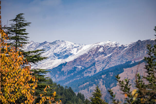 canva-scenic-view-of-himalayan-m